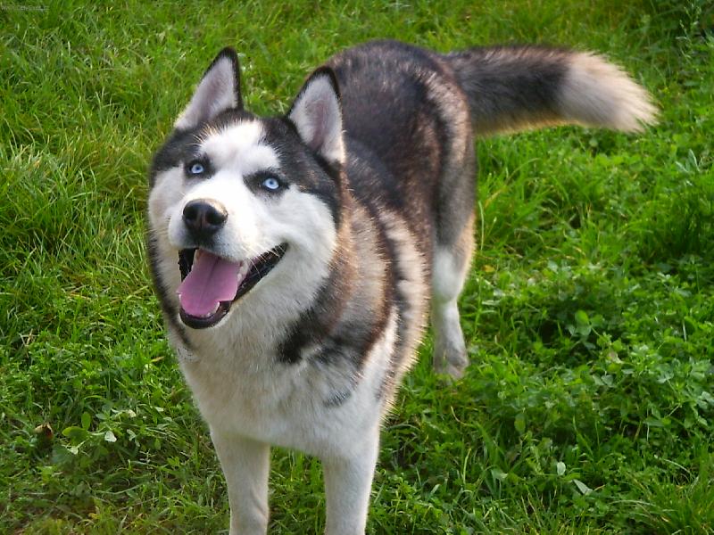 Foto: M�j mazl��ek-kr�sn� co ????