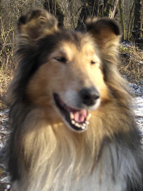 Foto: Beky-moje hol�i�ka