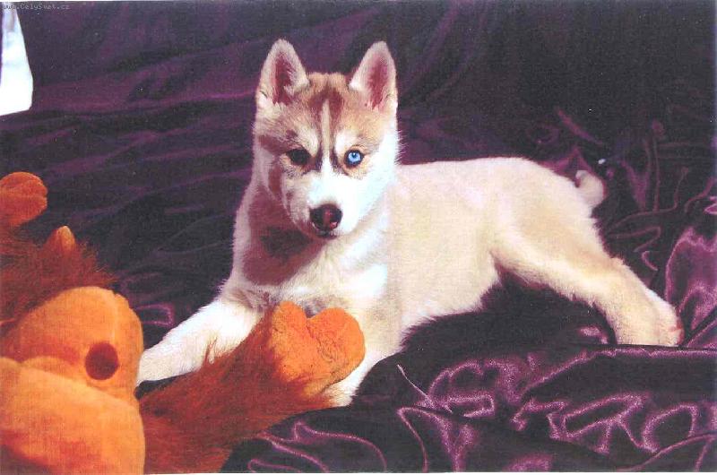 Foto: na�e mal� boubelat�