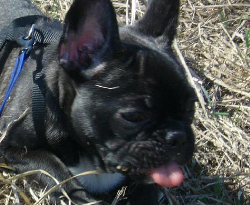 Foto: Bluebery-fuj,to je ale hnusn�