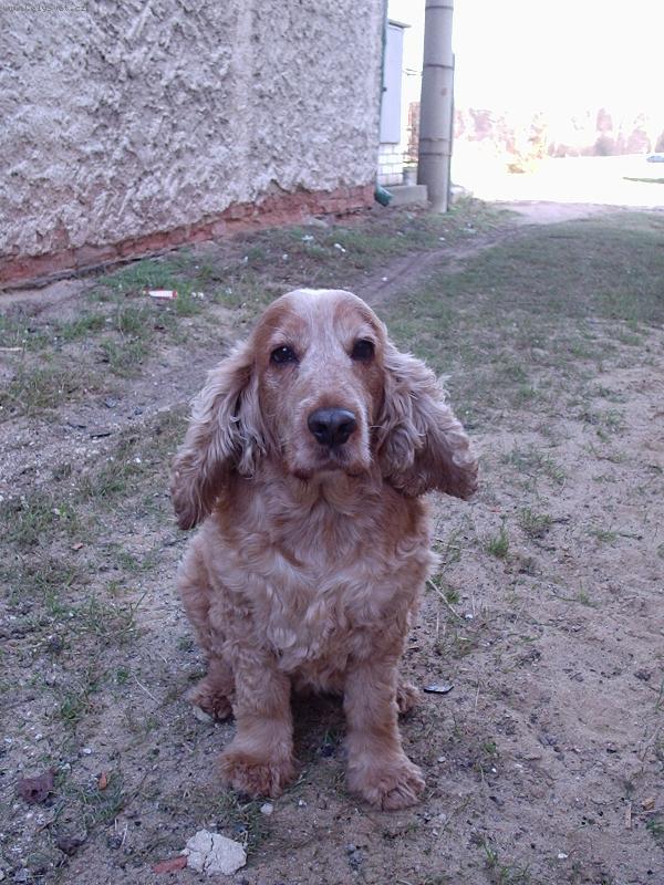 Foto: "Beru�ka"-Be�ulka ve v�tru