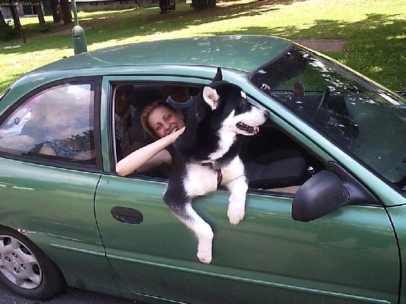 Foto: To m�m ale super v�hled-pani�ko,d�ch� je�t�?