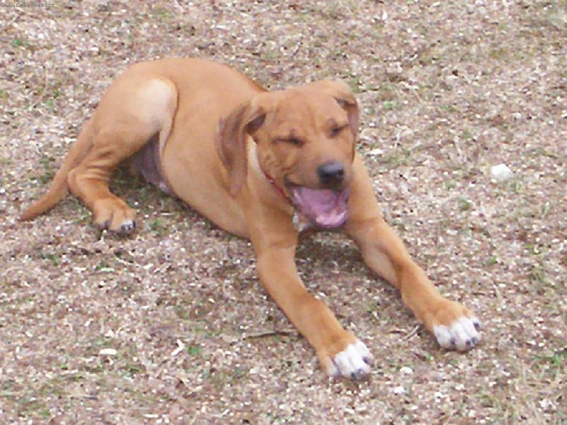 Foto: �����hhh,to bylo siln� z�vnut�!!!-Engu us�n�