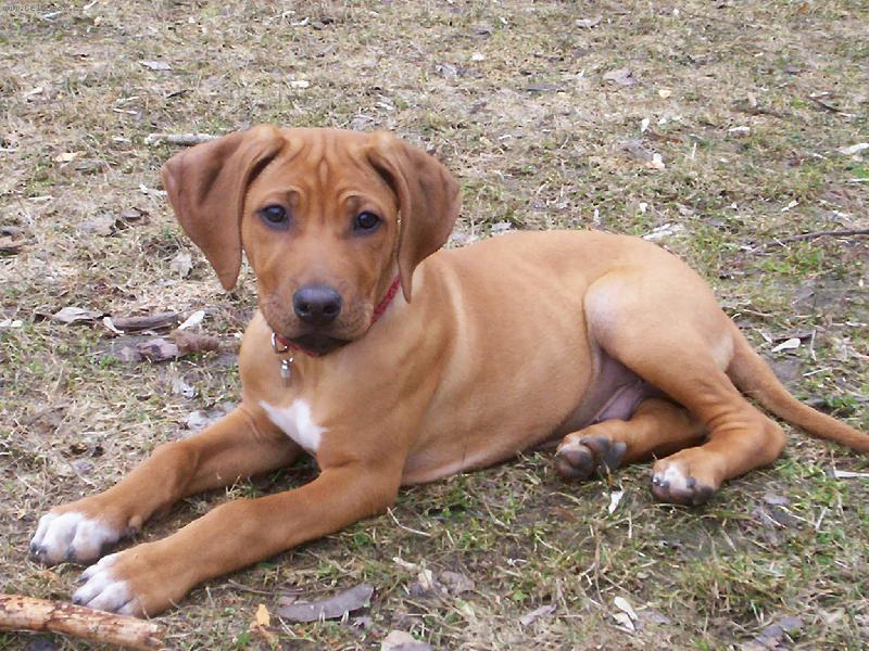 Foto: v�echny zdrav� mal� Engu!!!-nazd�rek