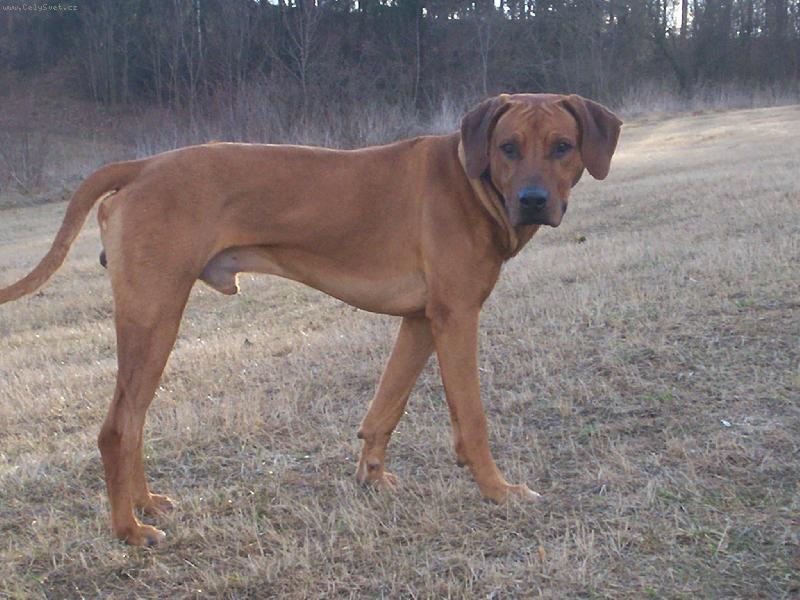 Foto: v�stavn� foto...-Lex uv�d�...