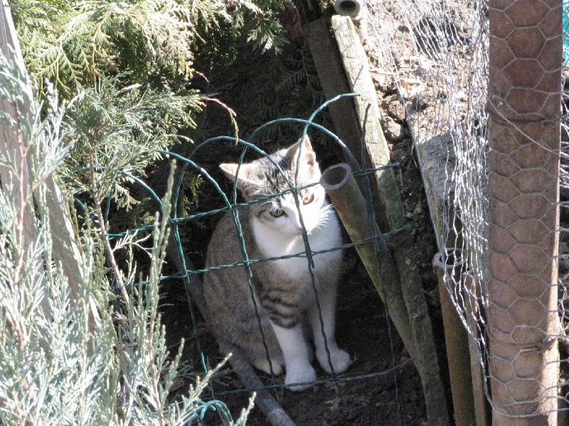 Foto: kocour �ENDA-Tak za kolik to m�m