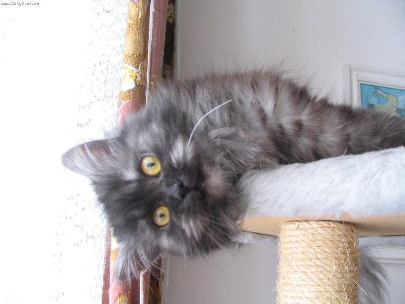 Foto: S�RA-Poj� se pomazlit 2