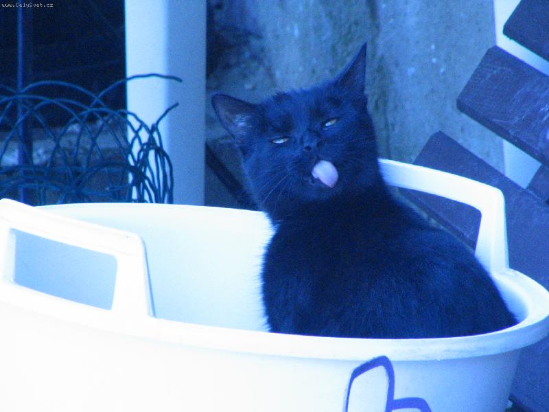 Foto: FILIP-Tak kdo m� hez�� jaz��ek