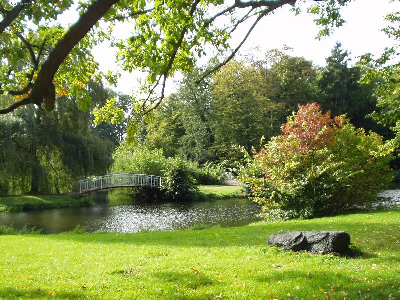 Foto: P�ekr�sn� prak-Park v p��rodn� rezervaci Schorfheide Chorin