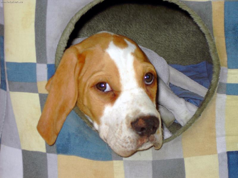 Foto: J� u� budu hodn� ......