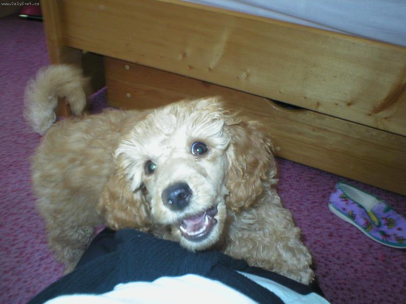 Foto: Eli�ka-Ne�tvi m�!!! Stejn� t� chyt�m!! A pak si m� nep�ej!!