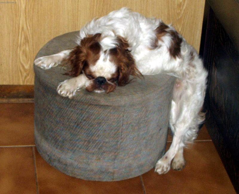 Foto: pohoda,kl�dek a leh�ro-I takto se d� usnout :)