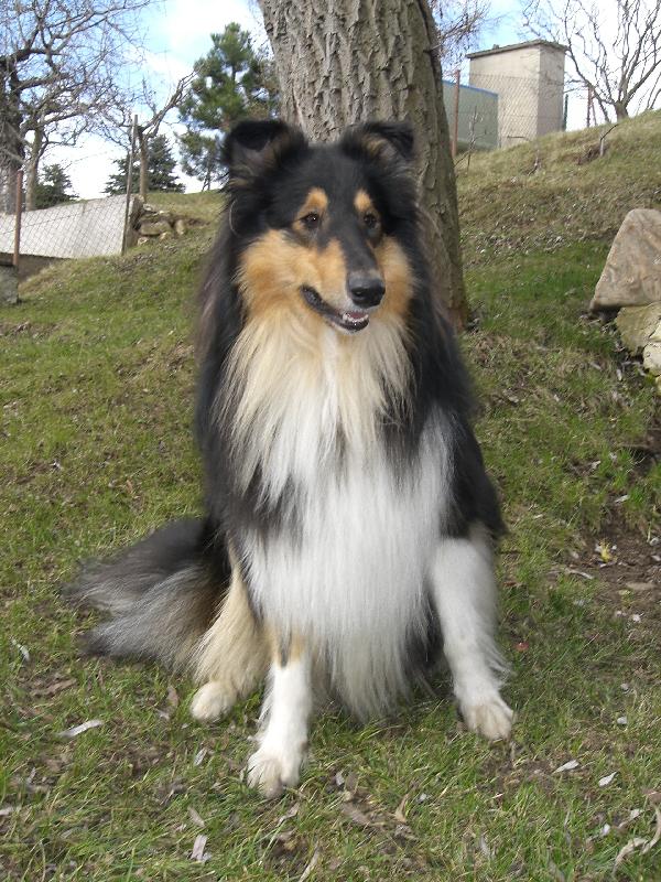 Foto: Ulvar black Vermiko-u� je tu jaro