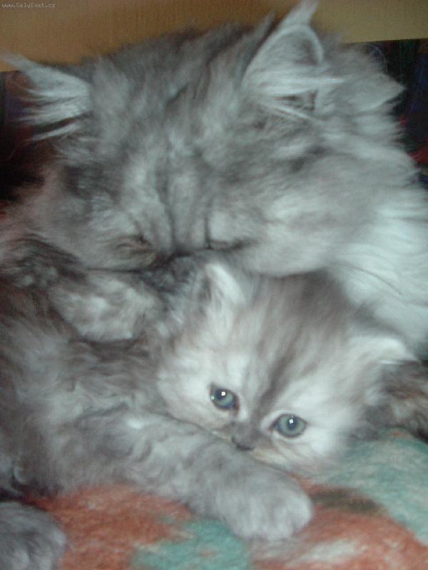 Foto: Ta�ka se synkem-Tat�nek mi d�v� rady do �ivota