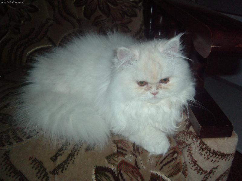 Foto: Nensinka - foto 21.3.2006