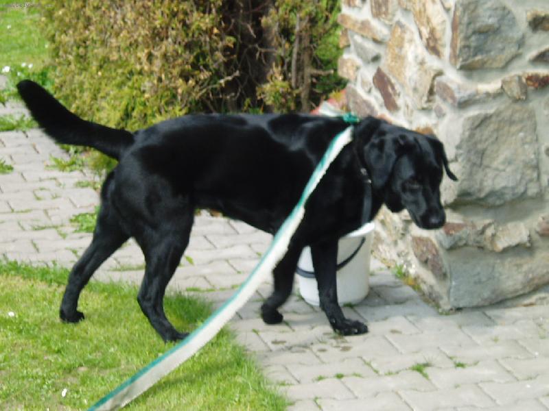 Foto: Brita-N� pejs�nek!!!