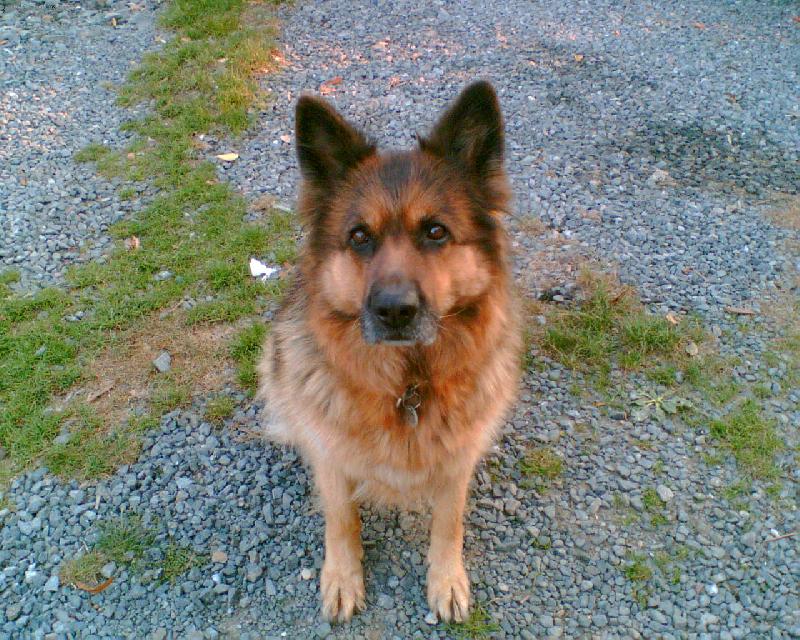 Foto: Bona-Bonu�ka-No nen� roztomil�?:-)