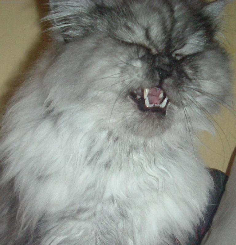 Foto: Den��ek-�ekli mi "�sm�v" a tak jsem poslechl :-)