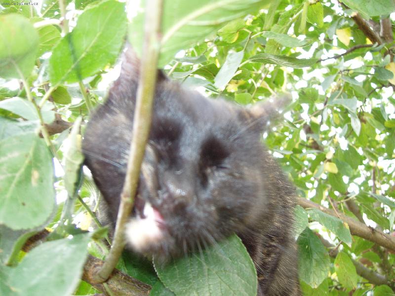 Foto: Ad�lka-Mus�m si tu v�tvi�tu po��dn� ozna�it!!