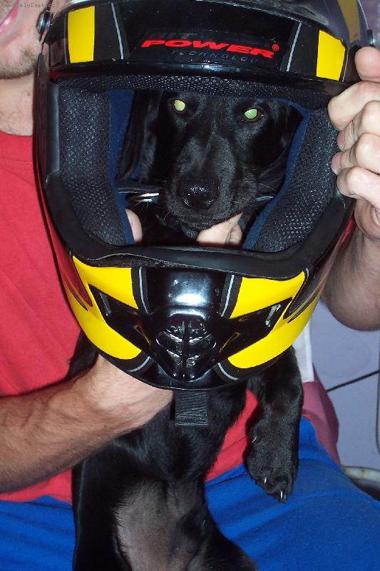 Foto: Jezdec-Bohou�ek