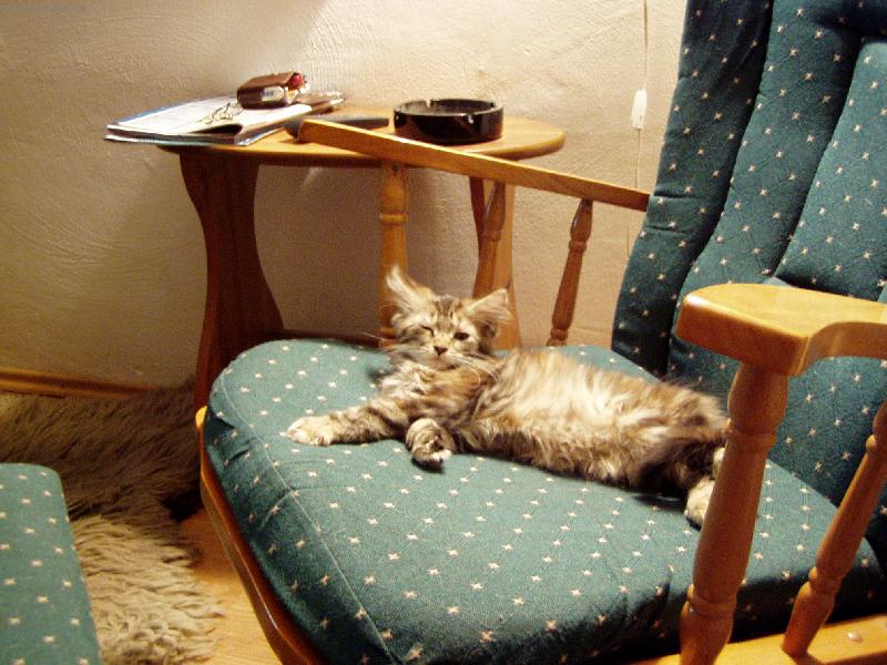 Foto: Eli�ka-Kot�