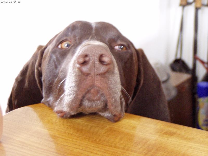 Foto: Max-J� ne�ebr�m