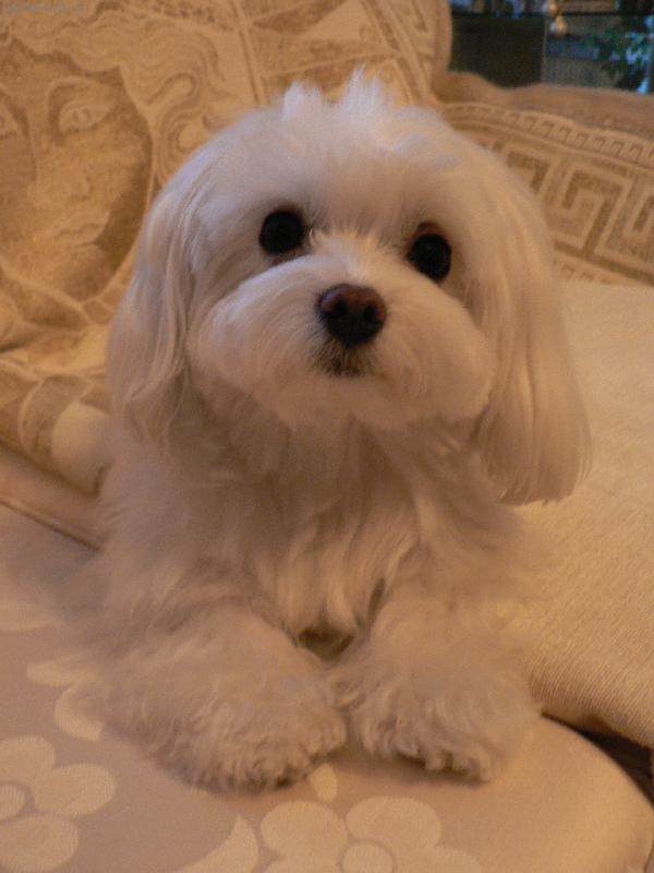 Foto: MEGGY-Na�e Meggy,l�b� se v�m ?