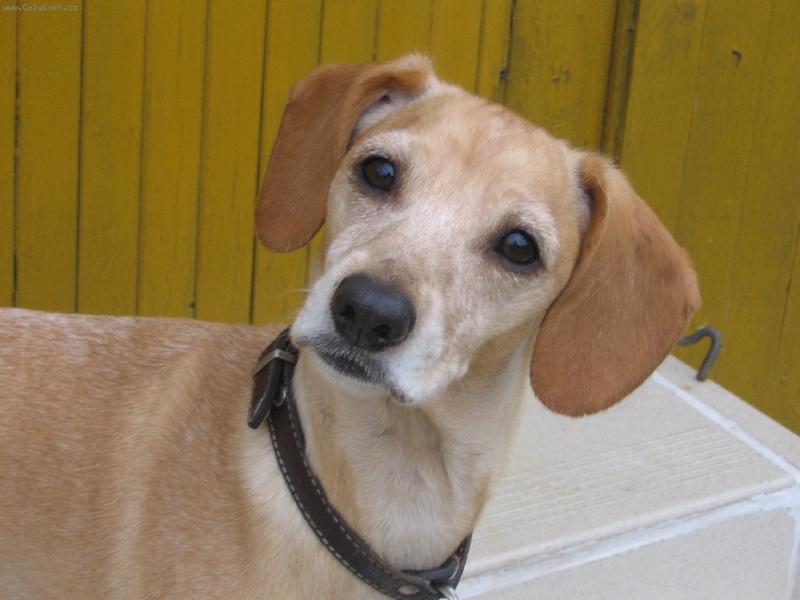 Foto: Na�e �t�st��ko-To sem ale fotogenn�,co??