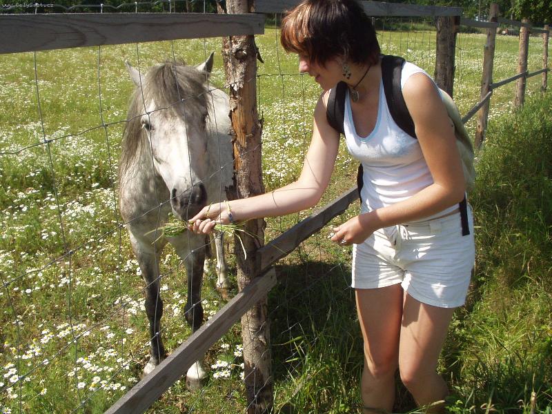 Foto: Co dnes m�me k ob�du?-Ponny a Mat�sek