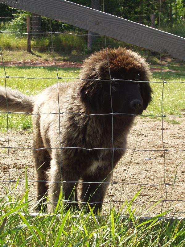 Foto: J� jsem malej,ale �ikovnej-Mal� prcek-cestovatel