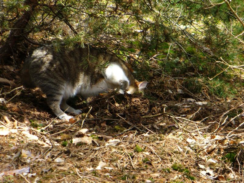 Foto: ...hezky uklidit...-Jazzi v akci