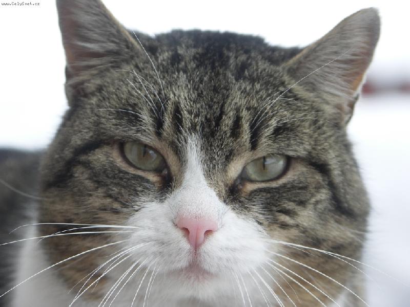 Foto: To jsem, ale fe�ak?