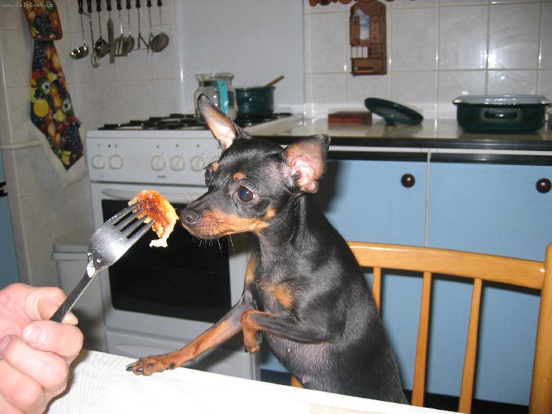 Foto: Matylda: Dobro chu�...