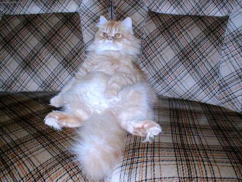 Foto: Taz�k-Pohoda...