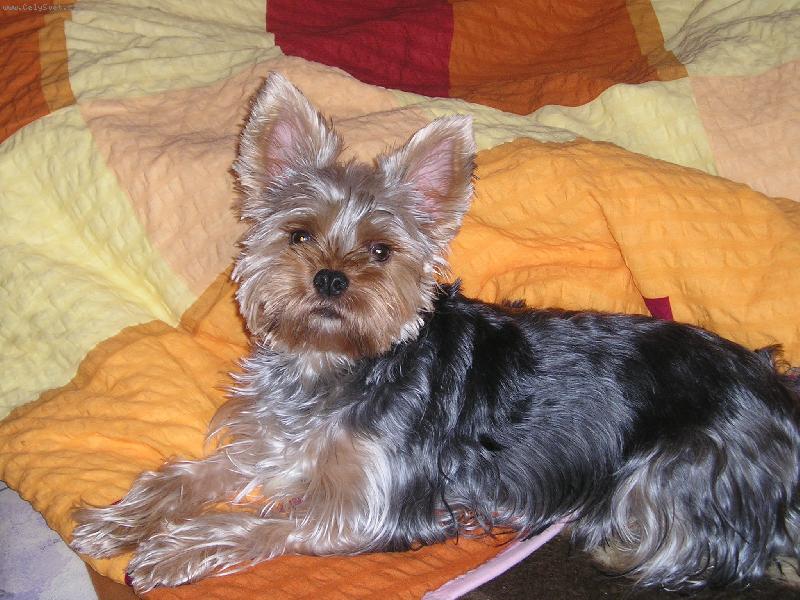 Foto: princezna-to je veg��