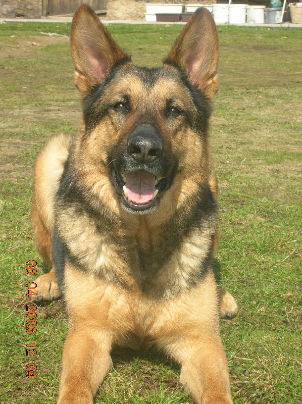 Foto: Na slun��ku