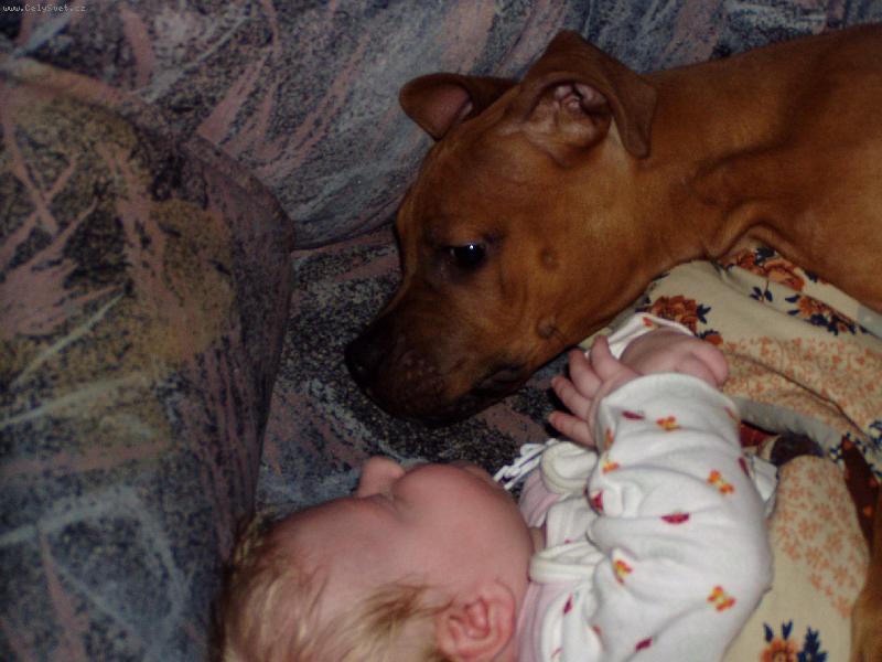 Foto: Po r�nu-Na�i mil��kov� p�i odpo�inku