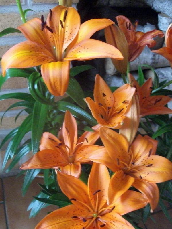 Foto: Na�e chlouba