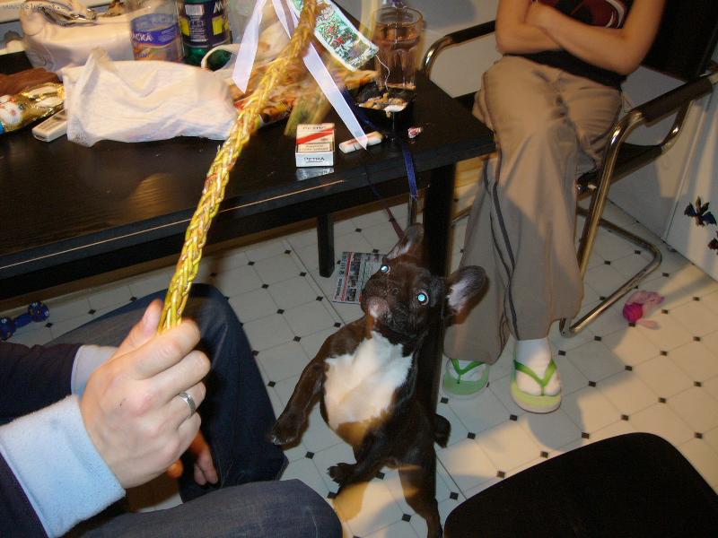 Foto: Blueberry-Deeeej mi toooo!! pros���m