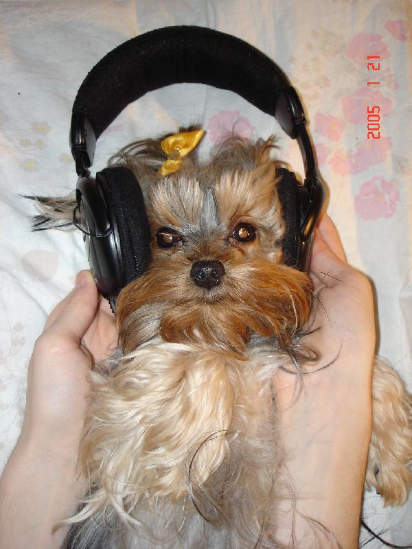 Foto: NERU�IT!!!-Na�e Lakynka tak� r�da poslouch� beat-up, a tak� r�da pozoruje na�i dceru, kter� tan�� ve skupin�.