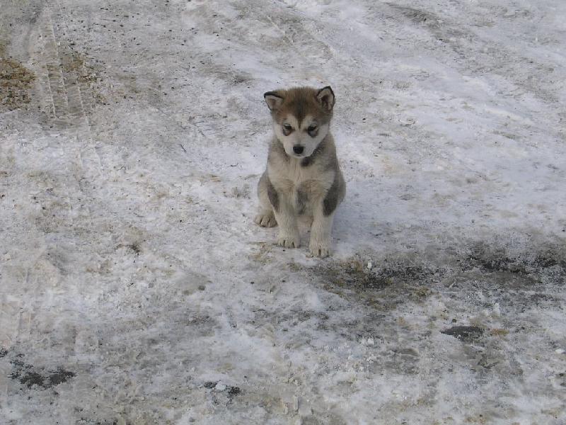 Foto: kuk na ten sv�t