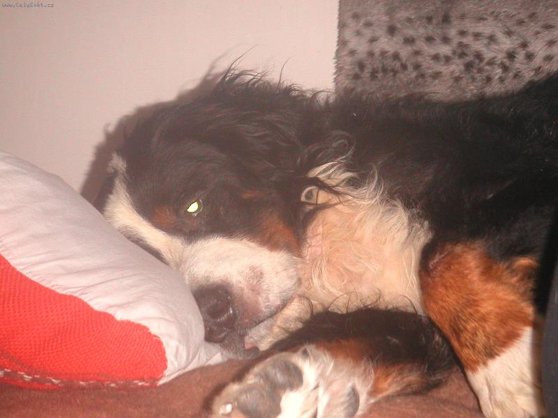 Foto: Berny-Kone�n� trochu pohodl�...