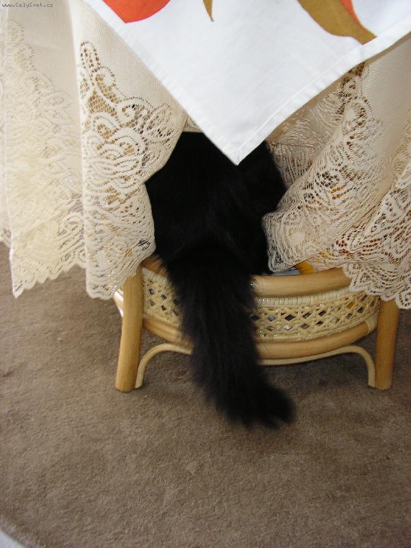 Foto: Hra na schov�vanou-A �e m� nenajde�?