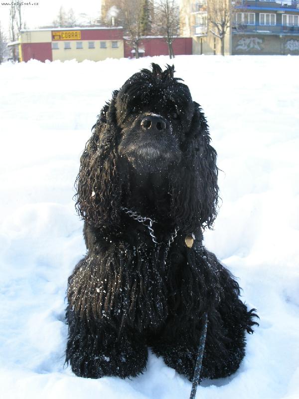 Foto: n� mil��ek