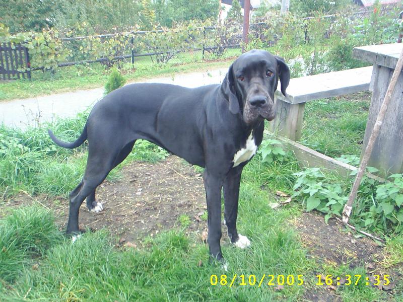 Foto: Caramelka m�j mazlik-M�m p�kn� v�hled