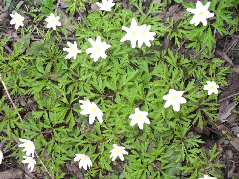 Foto: Najde� m�?-Prvn� leto�n� v�elka