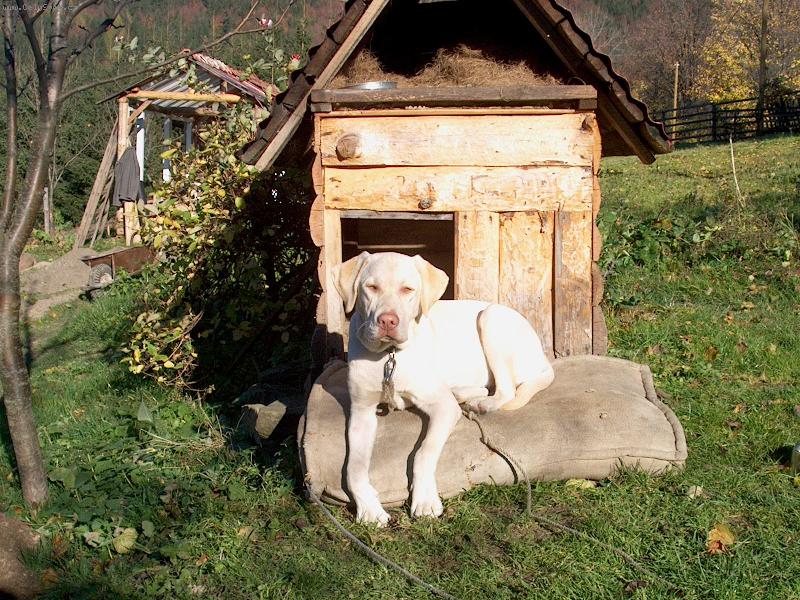 Foto: Mat�j-odpo�inak na hor�ch p�ed boudou