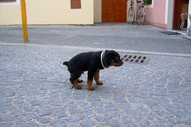 Foto: A je�t� vy�urat a m��um j�t domu!!! :-)-c����k