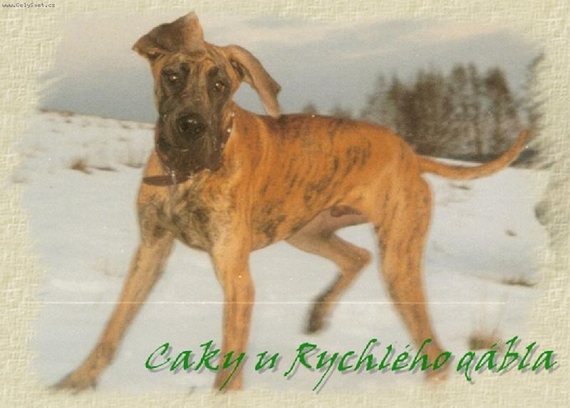 Foto: Caky u Rychl�ho ��bla