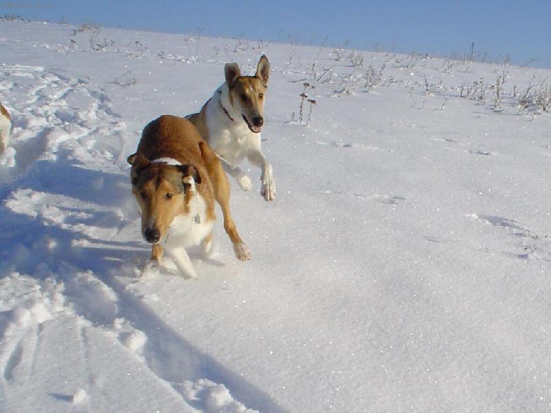 Foto: honi�ka-nen� nic lep��ho, ne� se p�kn� prob�hnout :o)